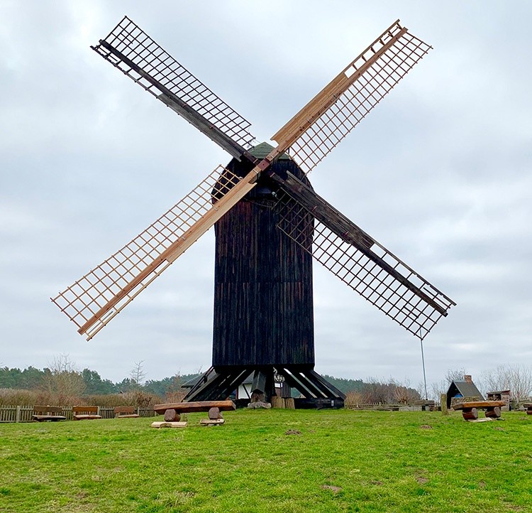 Bockwindmühle Pudagla