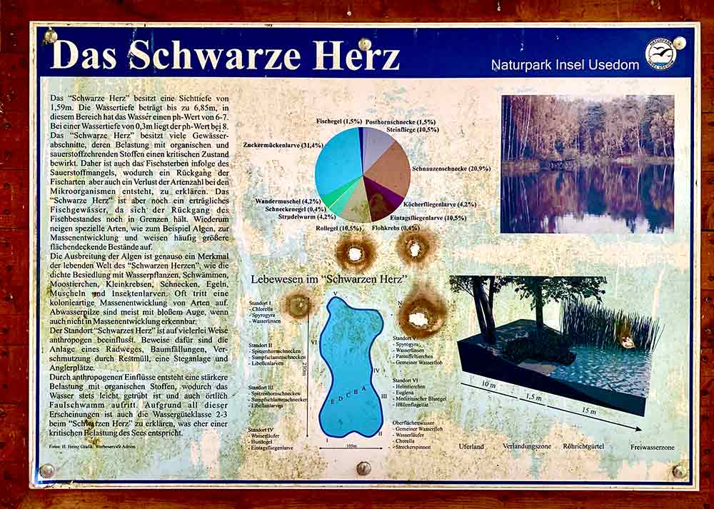 Infotafel Schwarzes Herz Usedom