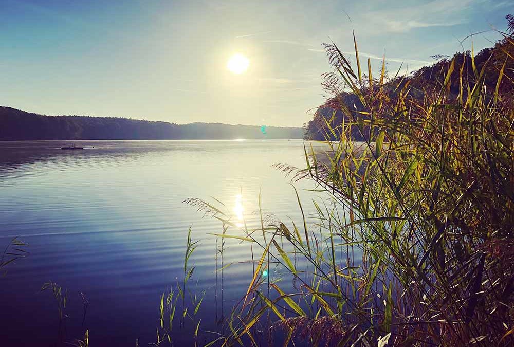 Wolgastsee auf Usedom in Korswandt