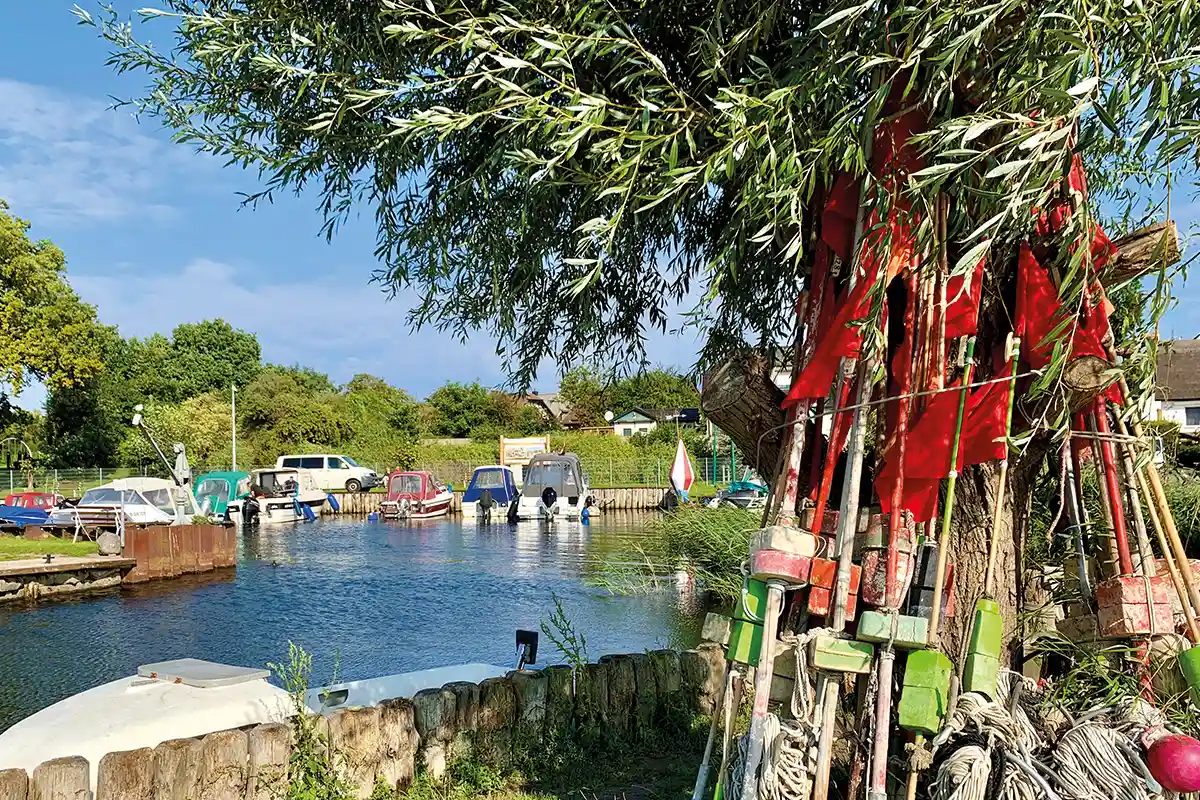 Blick auf den Hafen in Zempin