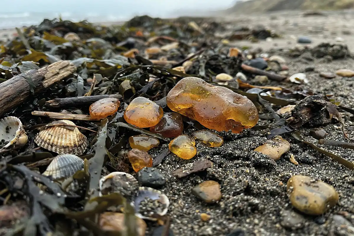 Bernstein am Strand auf Usedom