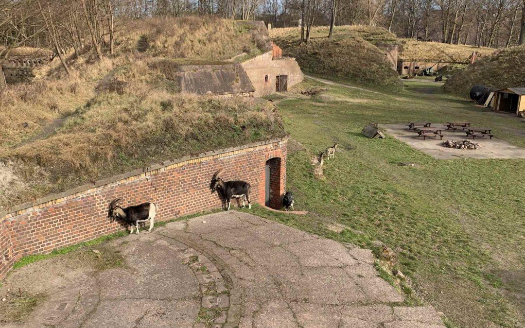 Fort Gerhard in Swinemünde