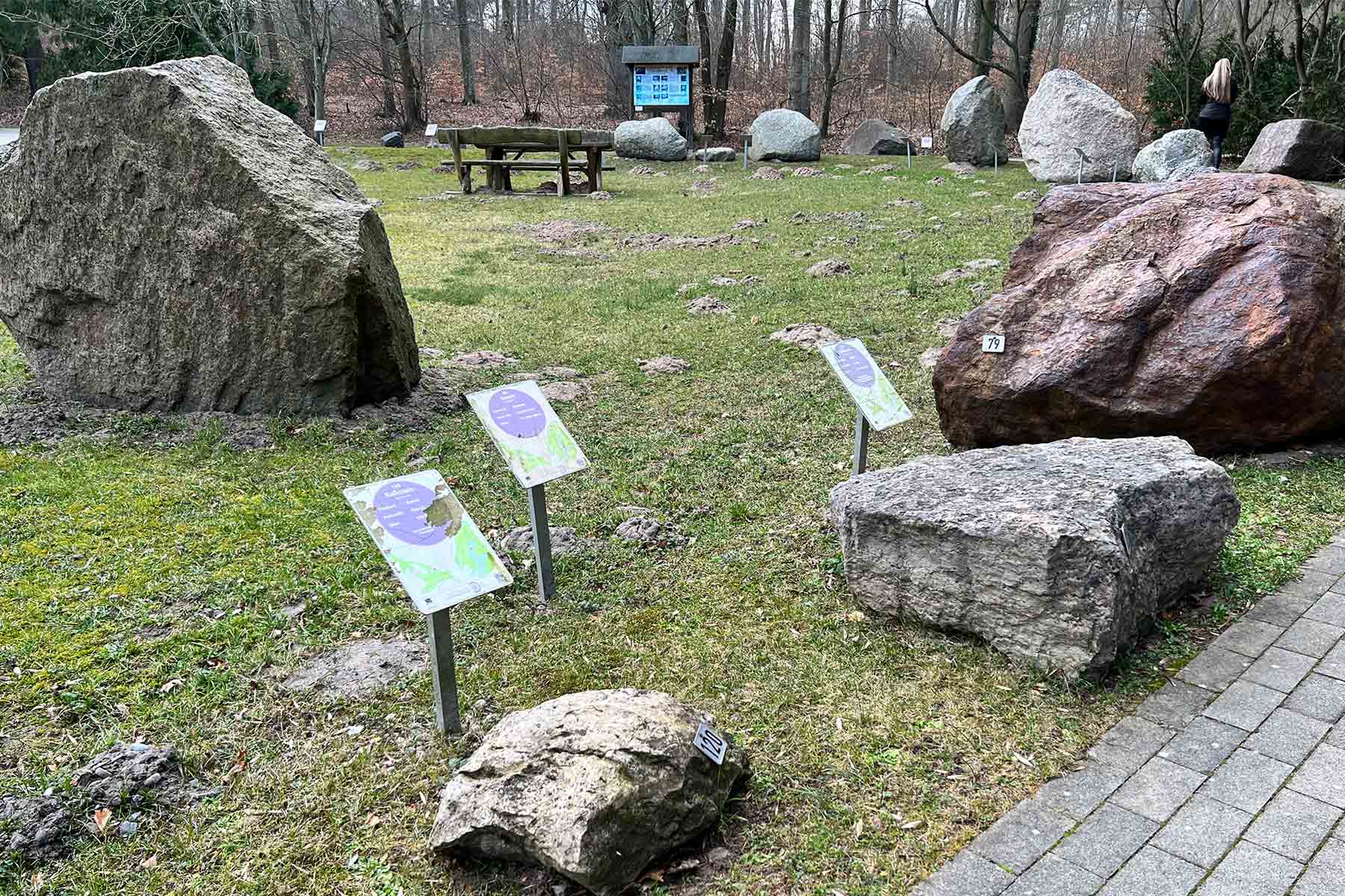 Große Findlinge im Usedomer Gesteinsgarten