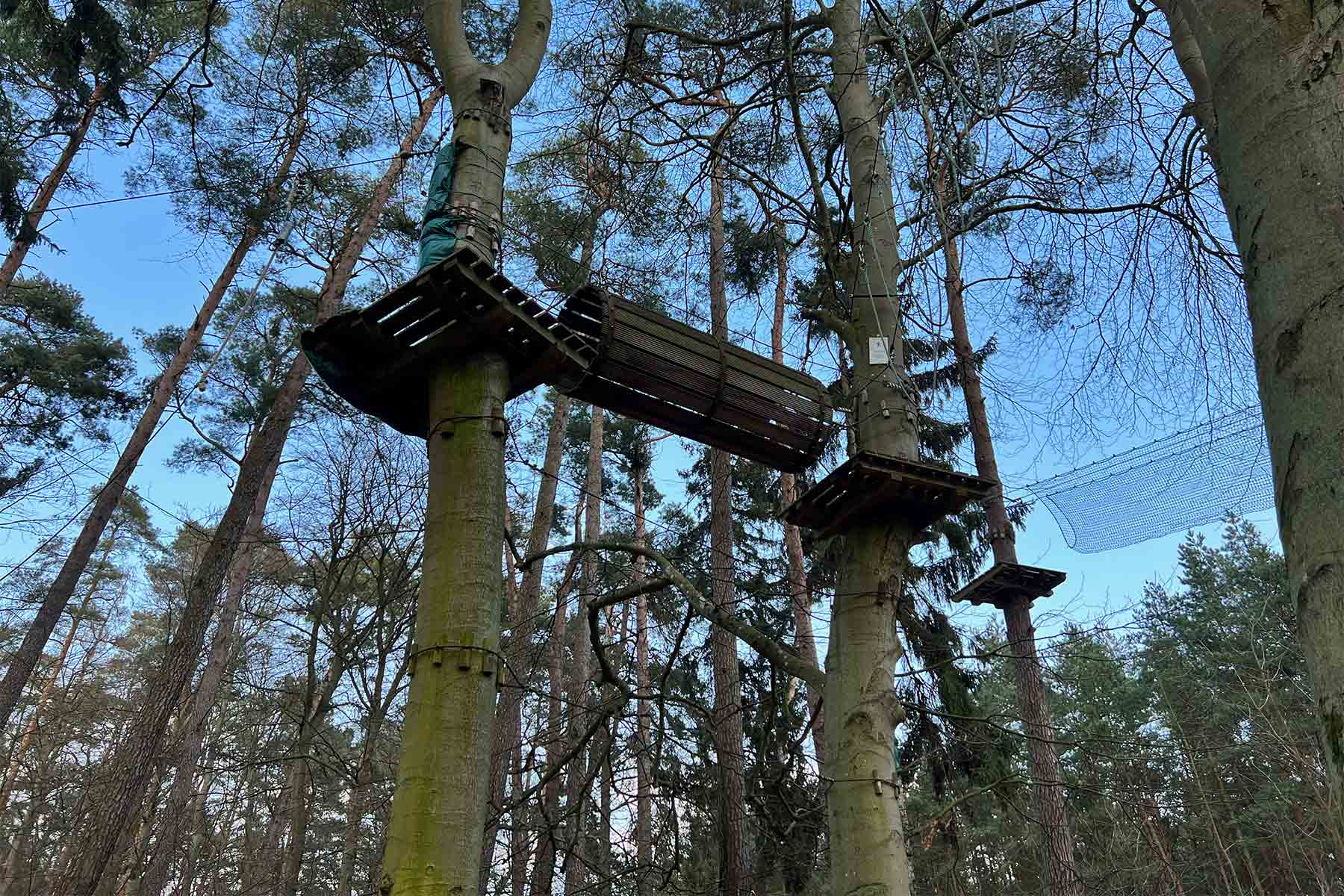 Kletterstation hoch in den Bäumen mit Sicherheitsnetz im Kletterwald Usedom
