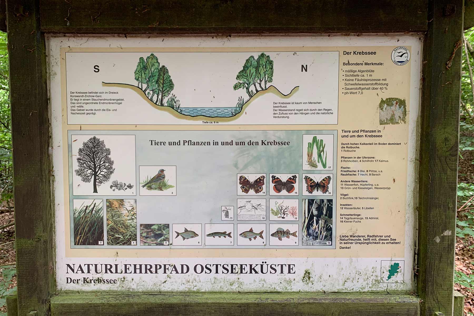 Hinweistafel zum Naturlehrpfad Ostseeküste am Krebssee
