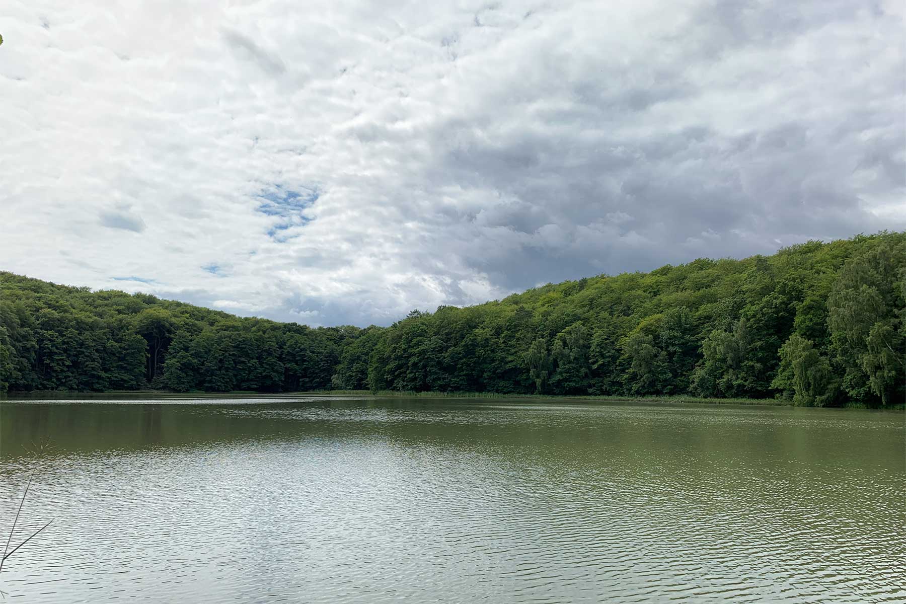 Blick auf den Krebssee im Usedomer Hinterland
