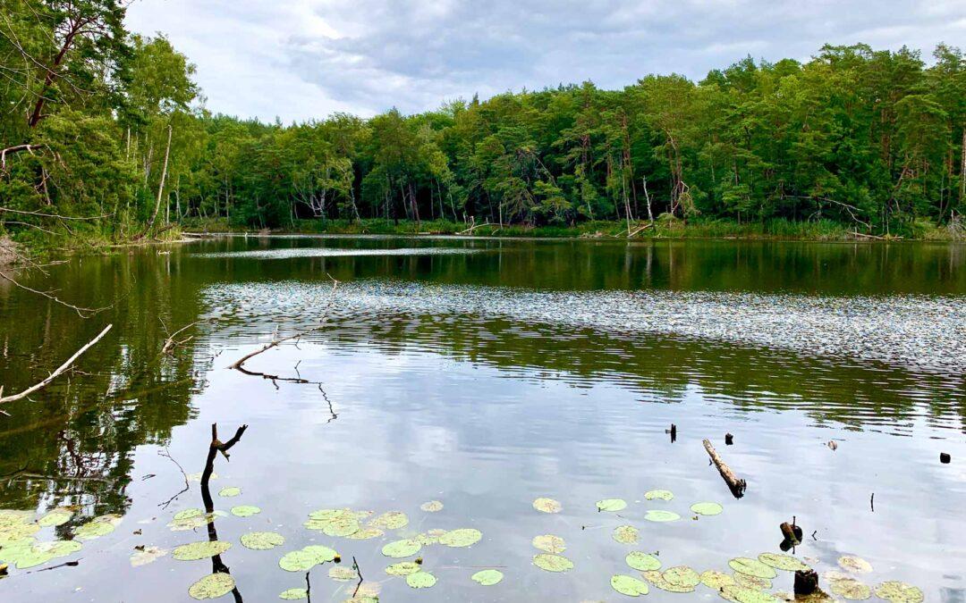 Das Schwarze Herz auf Usedom