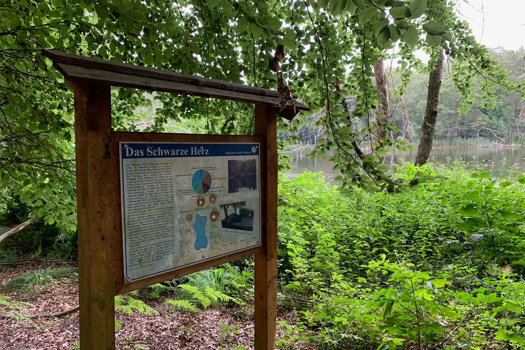 Das Schwarze Herz auf Usedom – Hinweistafel am Weg Hinweistafel zum Waldsee Das Schwarze Herz auf Usedom<br />
