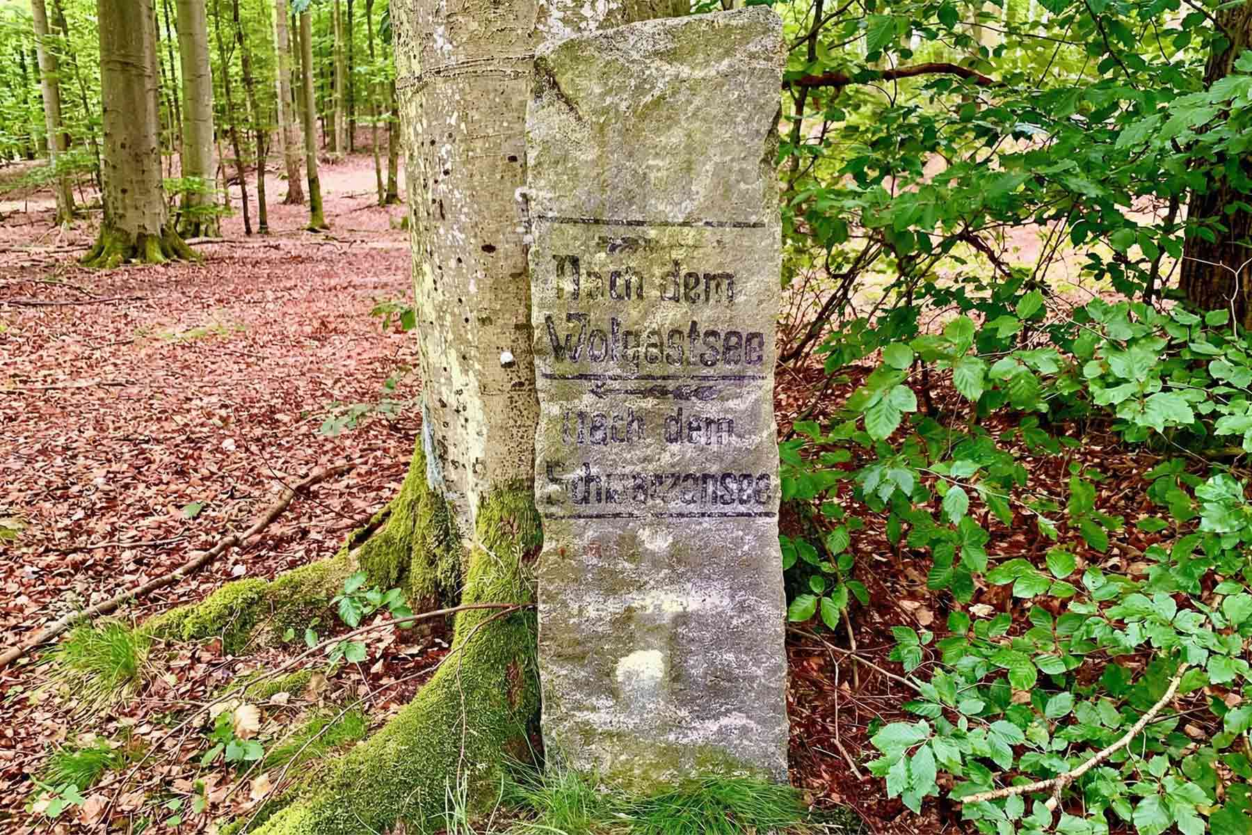 Das Schwarze Herz auf Usedom – historischer Wegstein im Wald Alter Wegstein mit Aufschrift nach dem Schwarzensee im Wald auf Usedom<br />