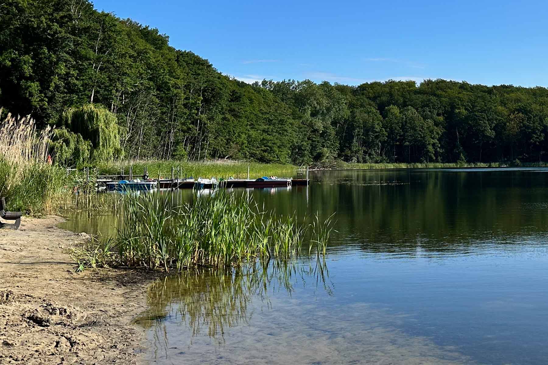 Uferbereich am Wolgastsee mit Bootsverleih im Hintergrund
