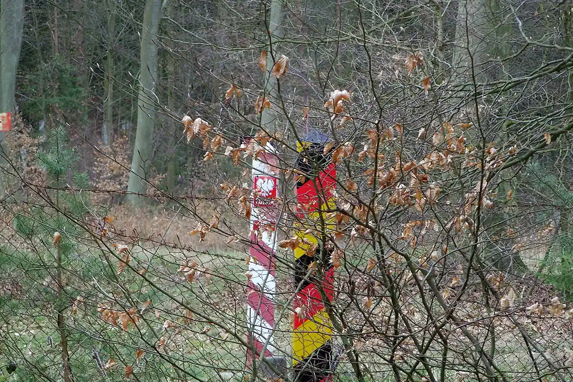 Deutscher und polnischer Grenzpfahl im Wald bei Korswandt im Jahr 2007